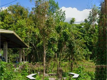 10 HECTARS FARM LOT; ALAMINOS LAGUNA - FOR SALE