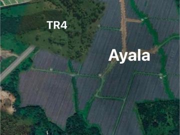10 HECTARS FARM LOT; ALAMINOS LAGUNA - FOR SALE