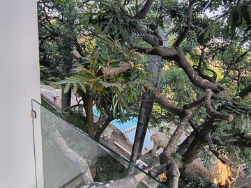 Departamentos Nuevos Cerca del Centro de Cuernavaca, Real San Antón 🏢✨