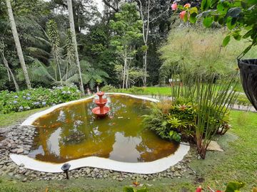 VENTA CASA CAMPESTRE CONDOMINIO CIRCASIA QUINDIO