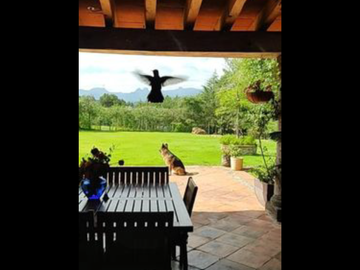 Venta de Casa tipo Hacienda de en Huasca: ¡Ideal para disfrutar de la naturaleza! ¡Tu paraíso Huasca! Oportunidad!