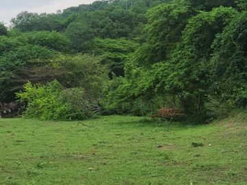 Espectacular finca de 3 Hectáreas en Flandes, Tolima