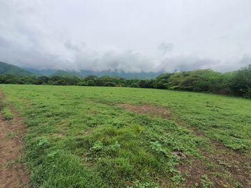 Espectacular finca de 3 Hectáreas en Flandes, Tolima