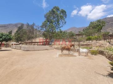 🚀 ¡No Lo Dejes Escapar! Tu Paraíso En Calango Country Club – 250M² Para Crear Tu Refugio Soñado 🌴🏡💎