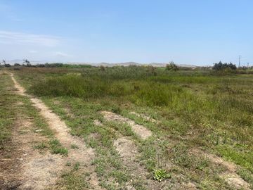 VENDO LINDO TERRENO FRENTE A LA PANAMERICA EN SUPE BARRANCA