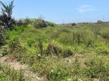 VENDO LINDO TERRENO FRENTE A LA PANAMERICA EN SUPE BARRANCA