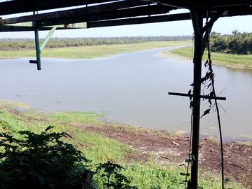 Terreno Comercial En Rumo Cocha - Carretera A Santa Clara Km.3.4 - Maynas Loreto