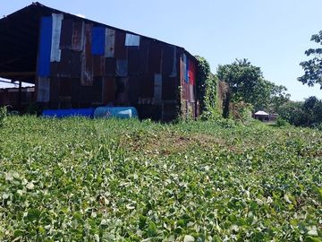 Terreno Comercial En Rumo Cocha - Carretera A Santa Clara Km.3.4 - Maynas Loreto