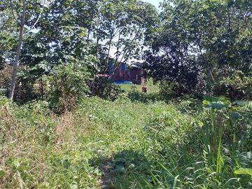 Terreno Comercial En Rumo Cocha - Carretera A Santa Clara Km.3.4 - Maynas Loreto