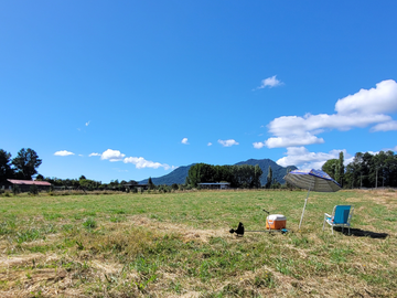 Venta de Terreno de 5252m2 en La Colonia de Correntoso, Puerto Montt