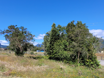 Venta de Terreno de 5252m2 en La Colonia de Correntoso, Puerto Montt