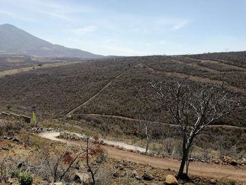 Terrenos en Venta en Jocotepec Fracc Rivera del Cardenal