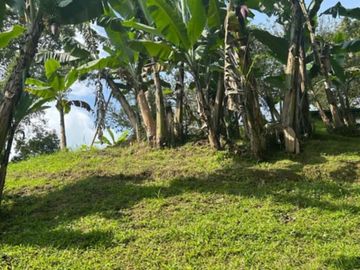 VENTA CASA CAMPESTRE EN MONTENEGRO, QUINDÍO