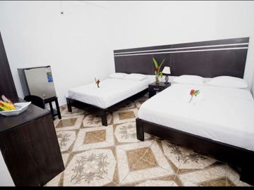 Este moderno hotel con amplio local comercial en el primer piso más sótano, cerca del aeropuerto, es una 'mina de oro' sin explotar.