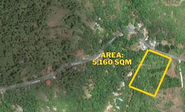 5,160 sqm Overlooking Lot for Sale in Brgy Unidos, San Francisco, Camotes Island, Cebu, Philippines