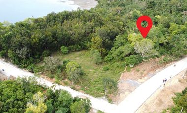 5,160 sqm Overlooking Lot for Sale in Brgy Unidos, San Francisco, Camotes Island, Cebu, Philippines