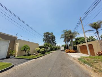 EL SAUCE DE LA RINCONADA  - LA MOLINA