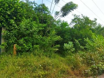 TERRENO RURAL DE 200000 M2