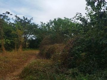 TERRENO RURAL DE 200000 M2