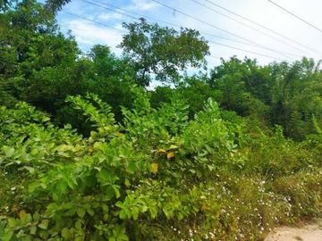 TERRENO RURAL DE 200000 M2