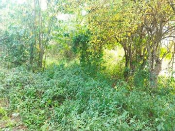 TERRENO RURAL DE 200000 M2