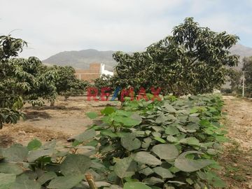 Vendo Terreno En Condominio Privado En Conache 1,000 M2