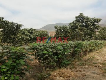 Vendo Terreno En Condominio Privado En Conache 1,000 M2