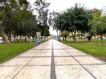Amplio Flat 100 M2 3 Hab Frente A Parque Trinidad