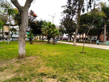 Amplio Flat 100 M2 3 Hab Frente A Parque Trinidad