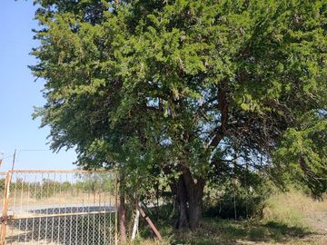 QUINTA VENTA EJIDO PALMITOS CADEREYTA