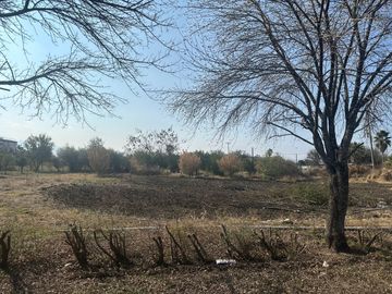 QUINTA VENTA EJIDO PALMITOS CADEREYTA