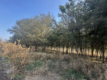 QUINTA VENTA EJIDO PALMITOS CADEREYTA