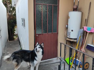 Se vende Casa de una sola planta con 2 recámaras en  200 m2 de construcción. Colonia El Empleado, Cuernavaca, Mor.