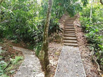 SE VENDE HERMOSA HOSTERIA (LODGE) EN LA AMAZONIA EN FUNCIONAMIENTO, DE 58 HAS. LORETO – ORELLANA - ECUADOR