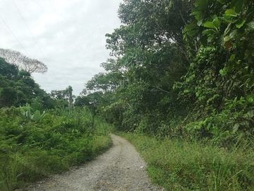 SE VENDE HERMOSA HOSTERIA (LODGE) EN LA AMAZONIA EN FUNCIONAMIENTO, DE 58 HAS. LORETO – ORELLANA - ECUADOR