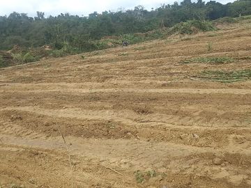 SE VENDE HERMOSA LOTIZACIÓN, 220 LOTES  TACHINA - ESMERALDAS - ECUADOR