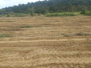 SE VENDE HERMOSA LOTIZACIÓN, 220 LOTES  TACHINA - ESMERALDAS - ECUADOR