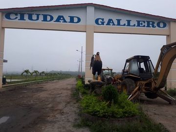SE VENDE HERMOSA LOTIZACIÓN, 650 LOTES QUININDÉ - ESMERALDAS - ECUADOR