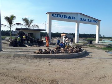 SE VENDE HERMOSA LOTIZACIÓN, 650 LOTES QUININDÉ - ESMERALDAS - ECUADOR