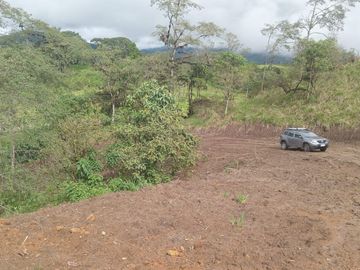 🌿 LOTIZACIÓN EN VENTA – VÍA A MINDO, A POCOS KILÓMETROS DE MINDO 🌿