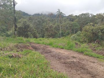 🌿 LOTIZACIÓN EN VENTA – VÍA A MINDO, A POCOS KILÓMETROS DE MINDO 🌿