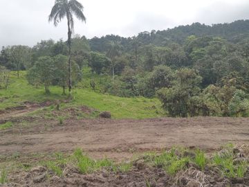🌿 LOTIZACIÓN EN VENTA – VÍA A MINDO, A POCOS KILÓMETROS DE MINDO 🌿