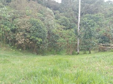 🌿 LOTIZACIÓN EN VENTA – VÍA A MINDO, A POCOS KILÓMETROS DE MINDO 🌿