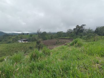 🌿 LOTIZACIÓN EN VENTA – VÍA A MINDO, A POCOS KILÓMETROS DE MINDO 🌿