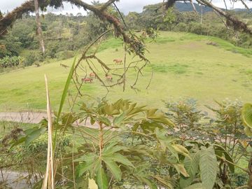 🌿 LOTIZACIÓN EN VENTA – VÍA A MINDO, A POCOS KILÓMETROS DE MINDO 🌿