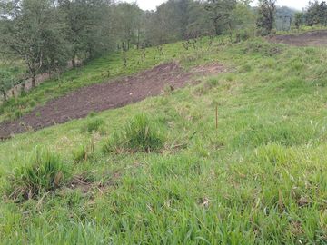 🌿 LOTIZACIÓN EN VENTA – VÍA A MINDO, A POCOS KILÓMETROS DE MINDO 🌿