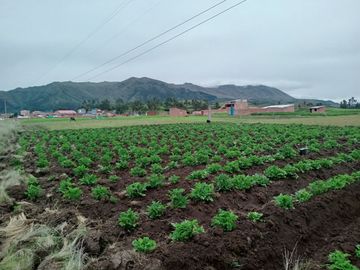 🌄 ¡Terreno con Doble Frontis Cerca a la Laguna de Piuray, Chinchero, Urubamba!  🌟
