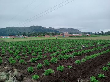 🌄 ¡Terreno con Doble Frontis Cerca a la Laguna de Piuray, Chinchero, Urubamba!  🌟