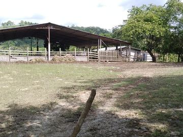 Venta Hacienda Ganadera, Atacames, Esmeralda