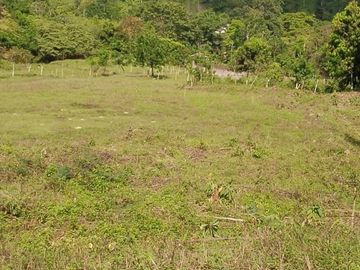 Venta Hacienda Ganadera, Atacames, Esmeralda